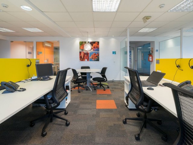 12_MICROSOFT